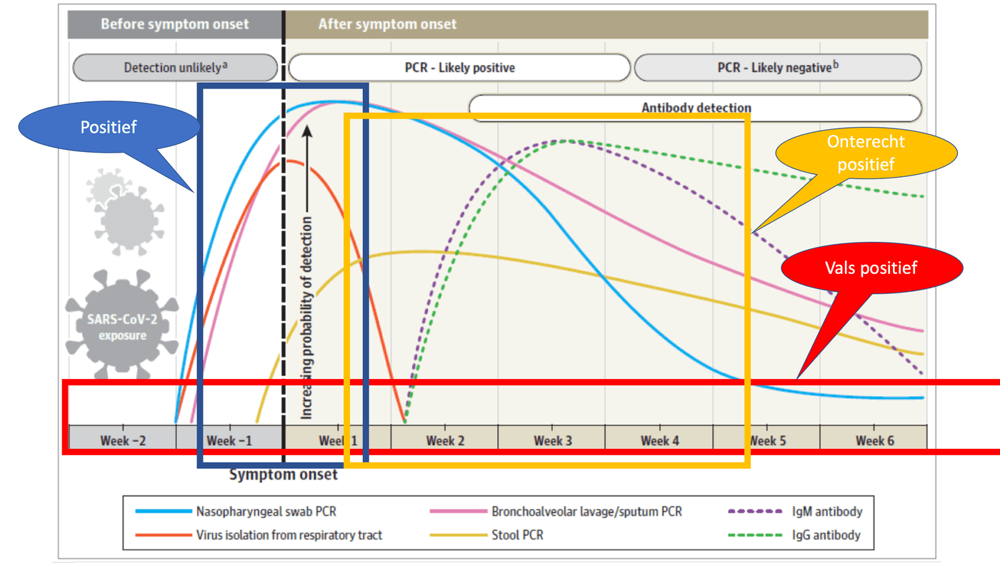 Wat voorspelt de PCR-test? - 18547 Wat voorspelt de PCR-test? - 18547